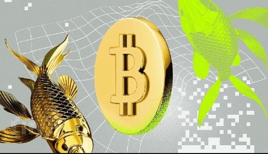 Crypto vs Gold: A Modern Comparison